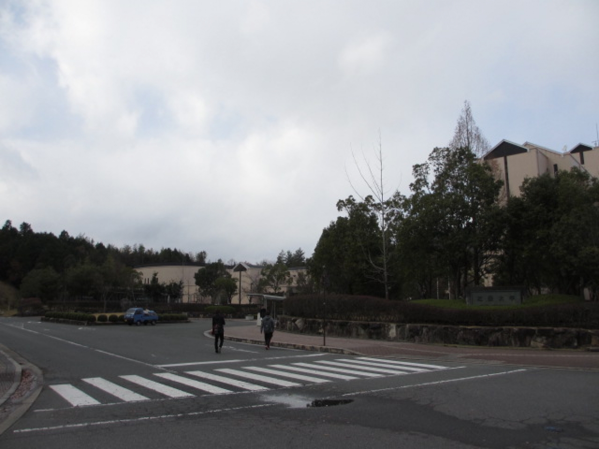 no_image
