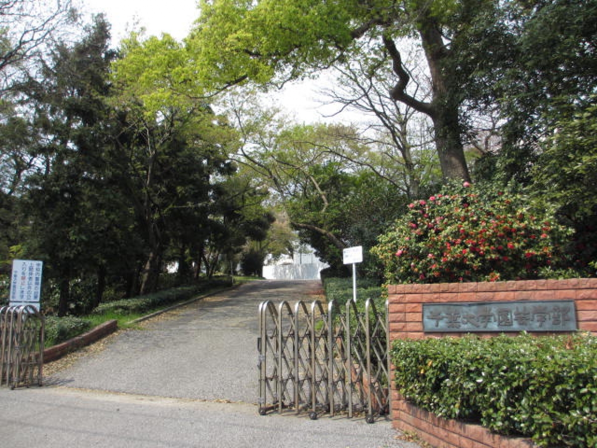 千葉大学松戸キャンパスの正門