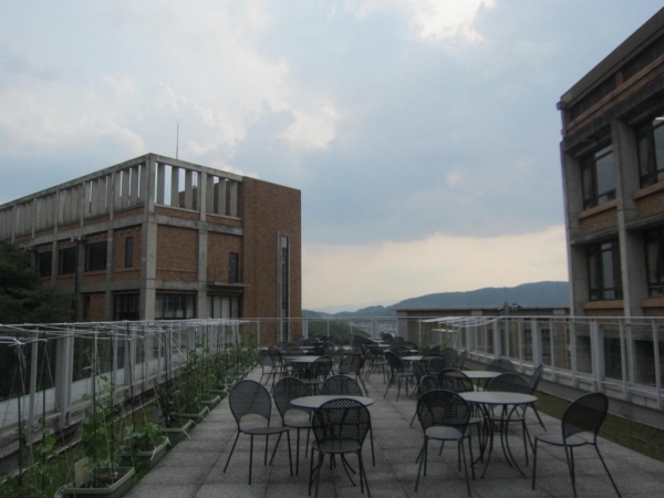 京都橘大学
