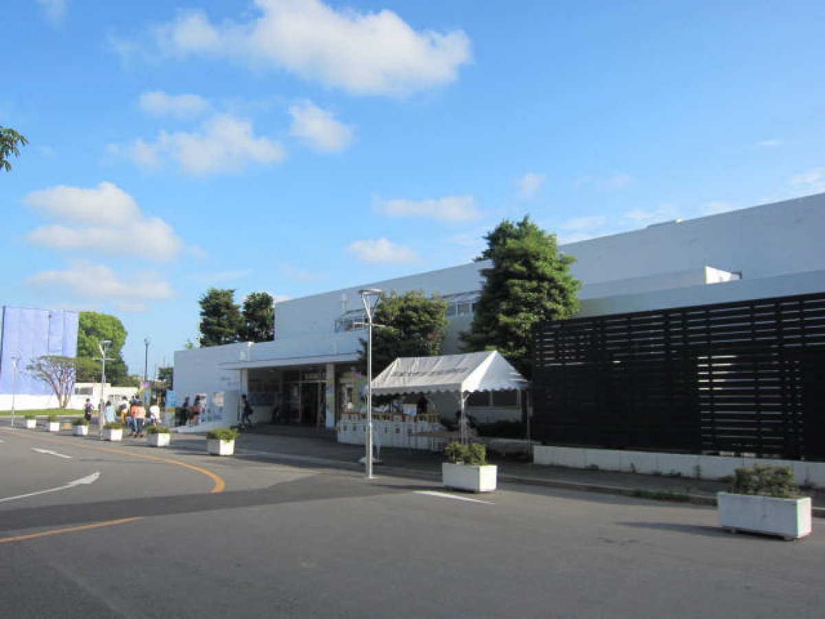 茨城大学　水戸　いばだい