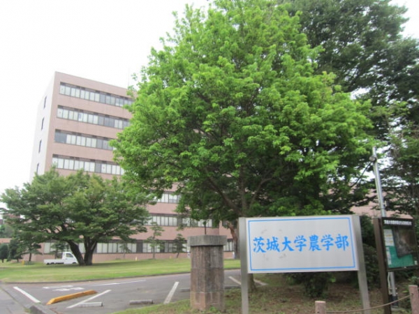 茨城大学 農学部 いばだい 農