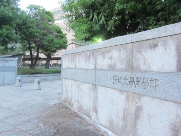 茨城大学 農学部 いばだい 農