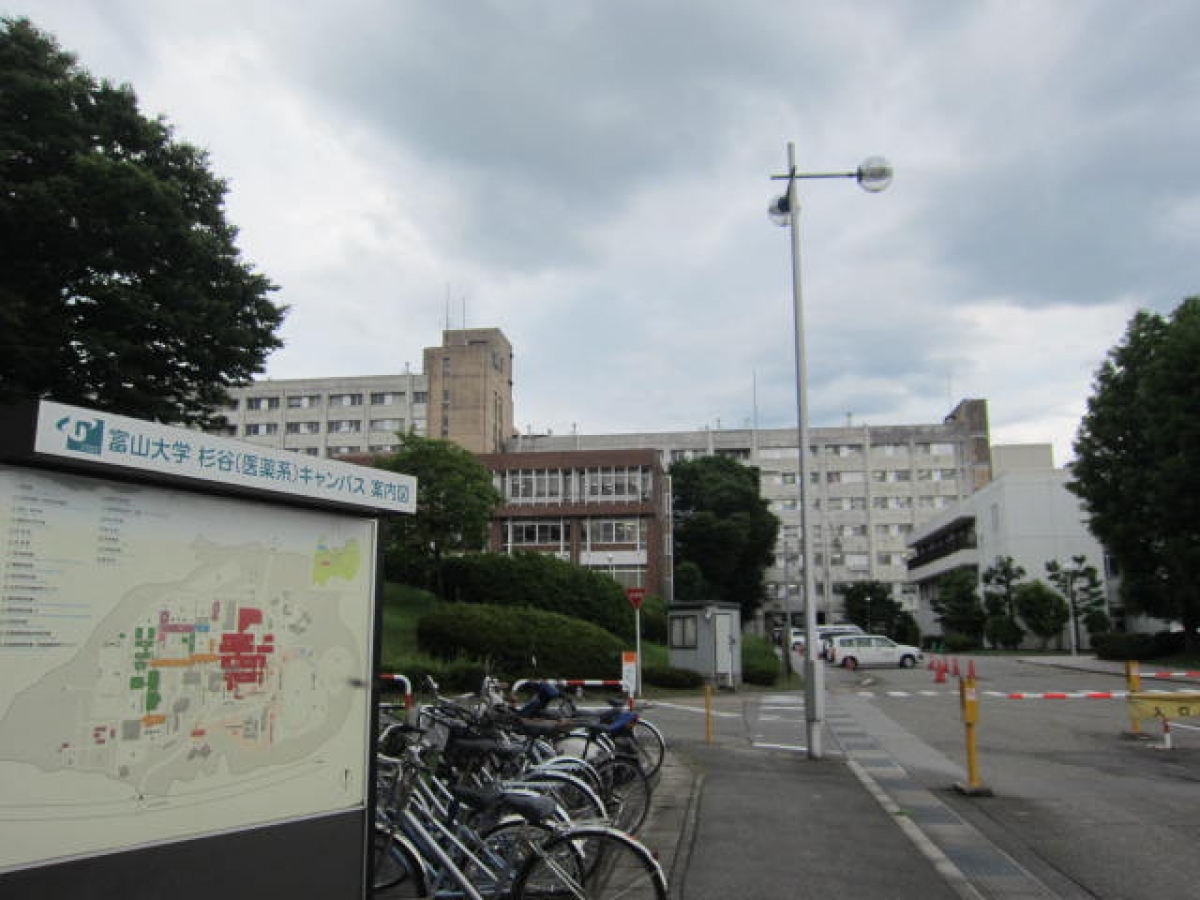 富山大学　杉谷　医薬大