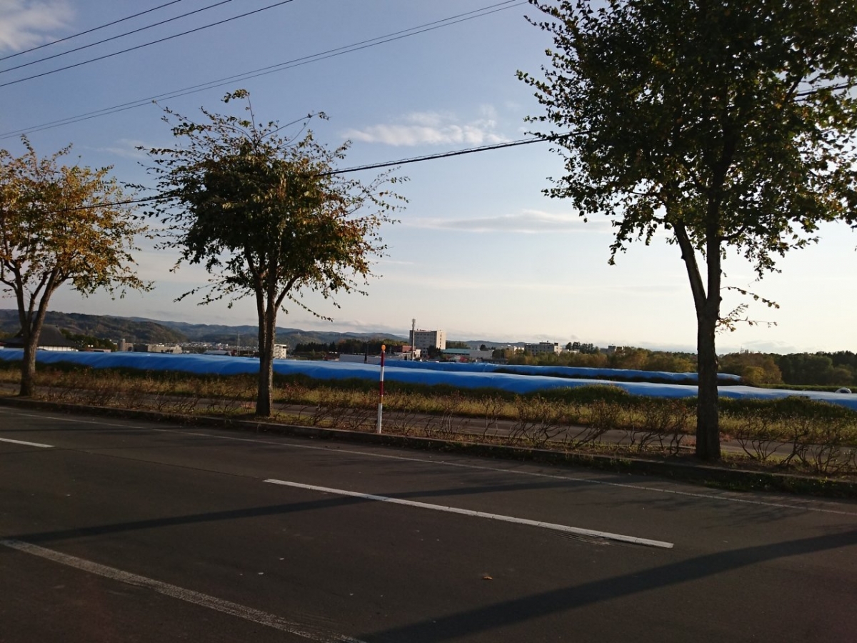 日本赤十字北海道看護大学　大学内広告　比較
