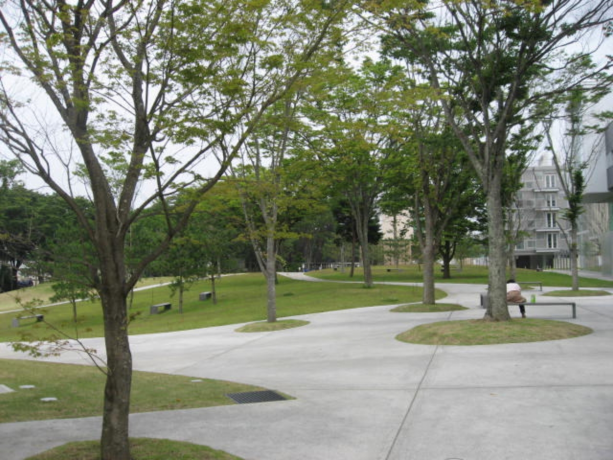 東北大学青葉山キャンパスの中庭