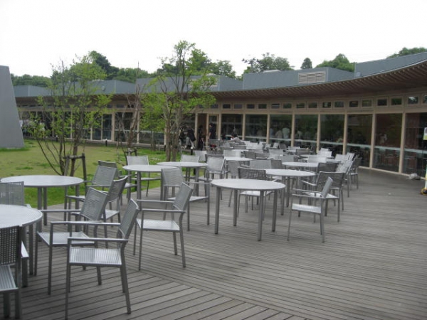 東北大学川内キャンパスの北厚生会館テラス